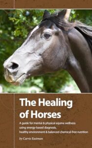 The Healing of Horses: A Guide for Mental & Physical Equine Wellness using Energy-Based Diagnosis